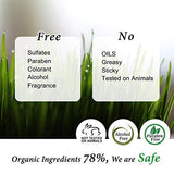 Niacinamide 10% + Zinc 1% Serum for Face - Pore Reducer + Uneven Skin Tone Treatment + Diminishes Acne Prone, Korean Skin Care, 1oz (30ml)