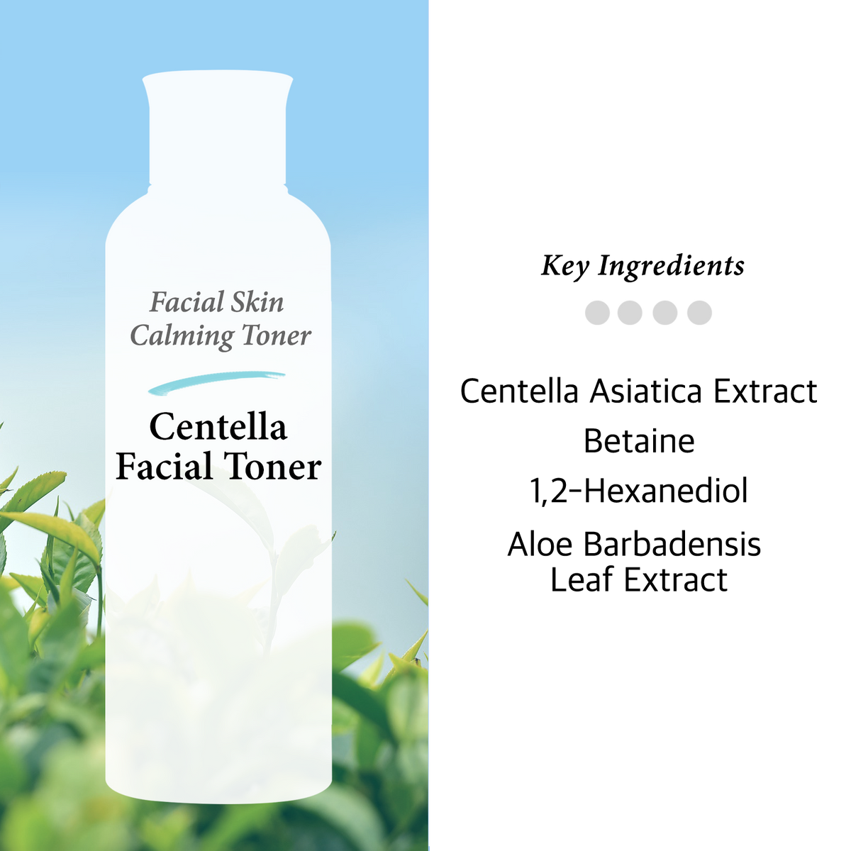 Centella Asiatica Toner for Face - Age Spot, Skin Tone, Firming, Soothing, Reduce Wrinkles, Blemish-Prone Skin, Witch Hazel Free, Korean Nature Skin Care, 6.75OZ (200ml)