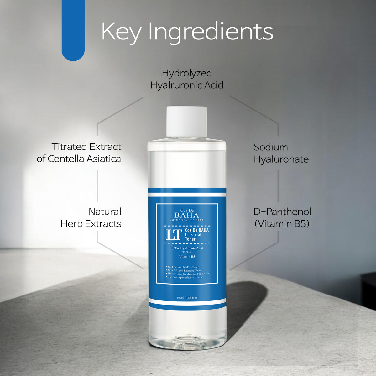 Low Molecular Hyaluronic Acid Toner for Face - Anti Aging + Fine Line + Intense Hydration + facial moisturizer + Visibly Plumped Skin 16.9 Fl Oz (500ml)