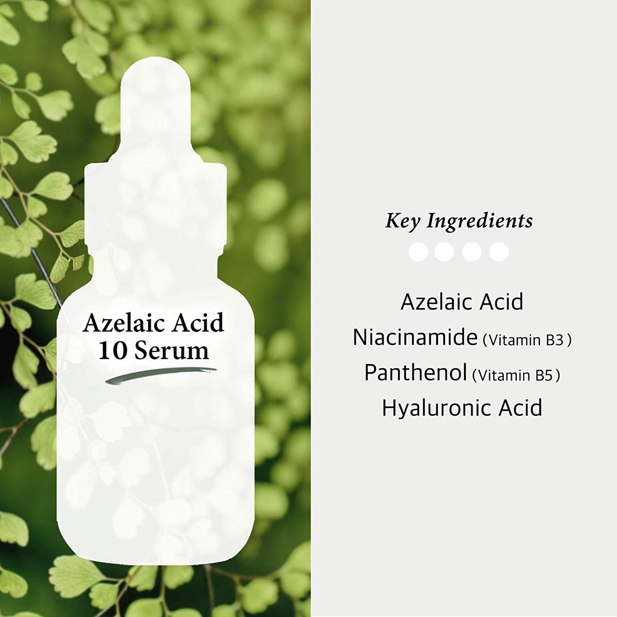 Azelaic Acid 10% Facial Serum with Niacinamide - Skin Care Product for Visible Redness + Blemish-Prone Skin + Uneven Tone + Pore Clarity, Alcohol Free, 1oz (30ml)